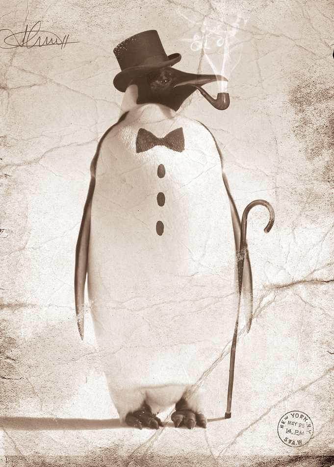 Suit Up!