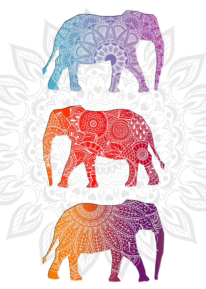 Elephantz II