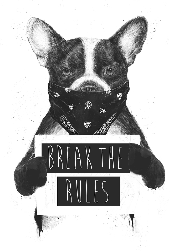 Rebel dog