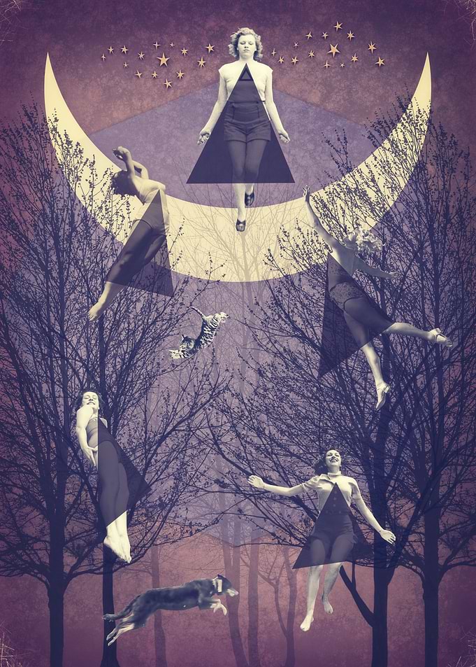 The Flight Collage