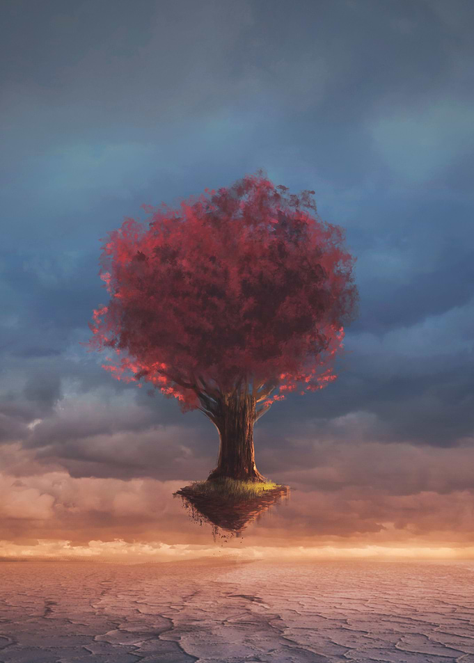 Inscapes