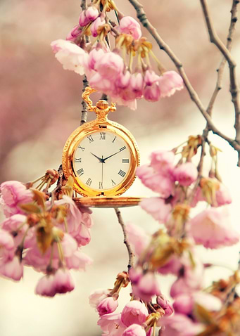 Spring Time