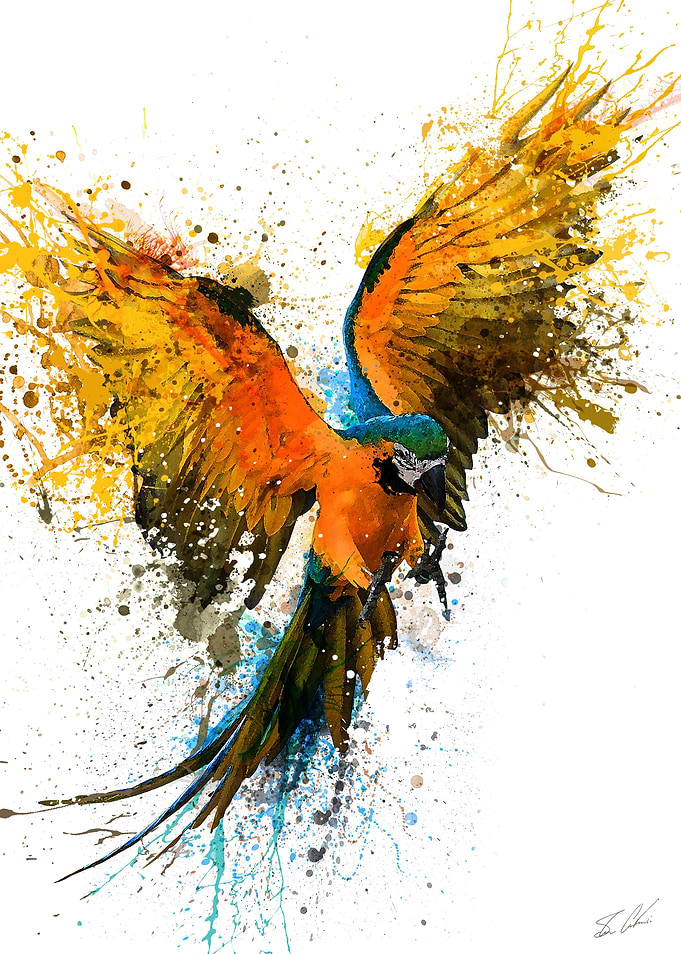 The Parrot