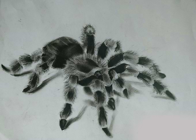 I drew this around Halloween time of last year, seemed ...