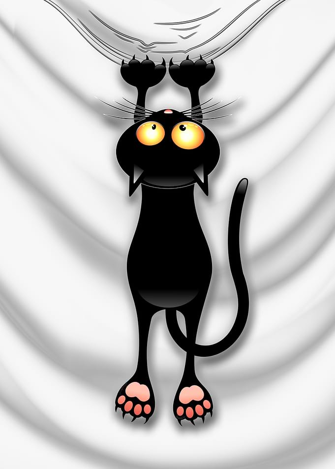 Cat Fun Naughty Character Falling Down