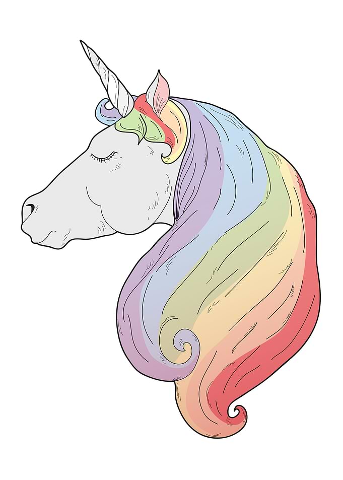 Unicorn Rainbow