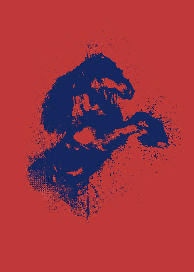 Horse in 2 colors