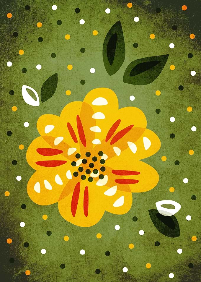 Decorative flower illustration depicting a lovely primr ...