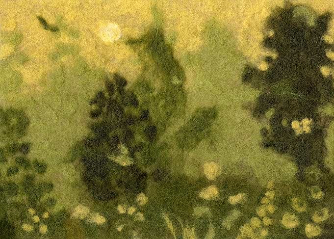 Summer lawn