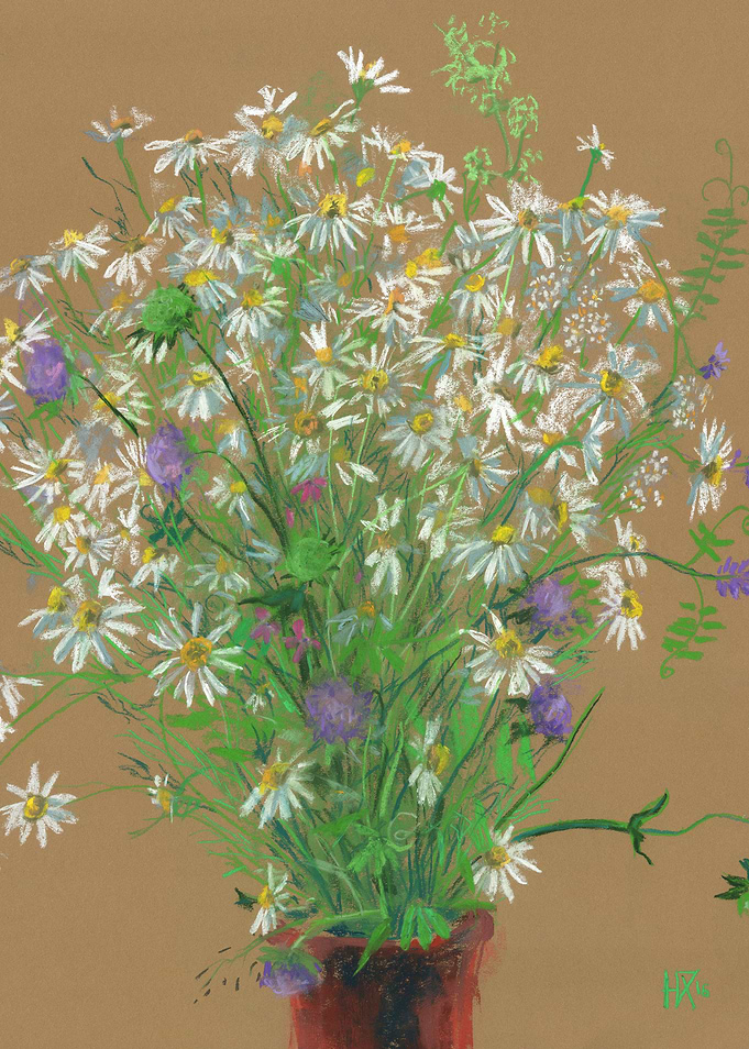 Meadow Flowers