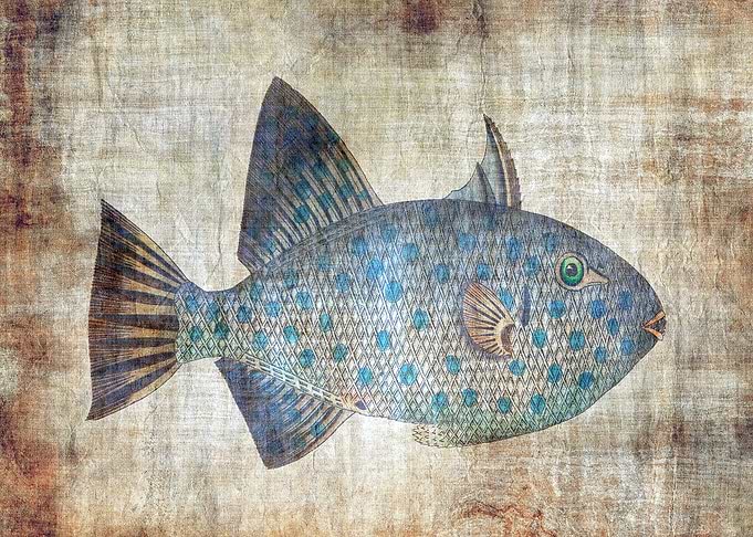 Abstract Grunge Fish
