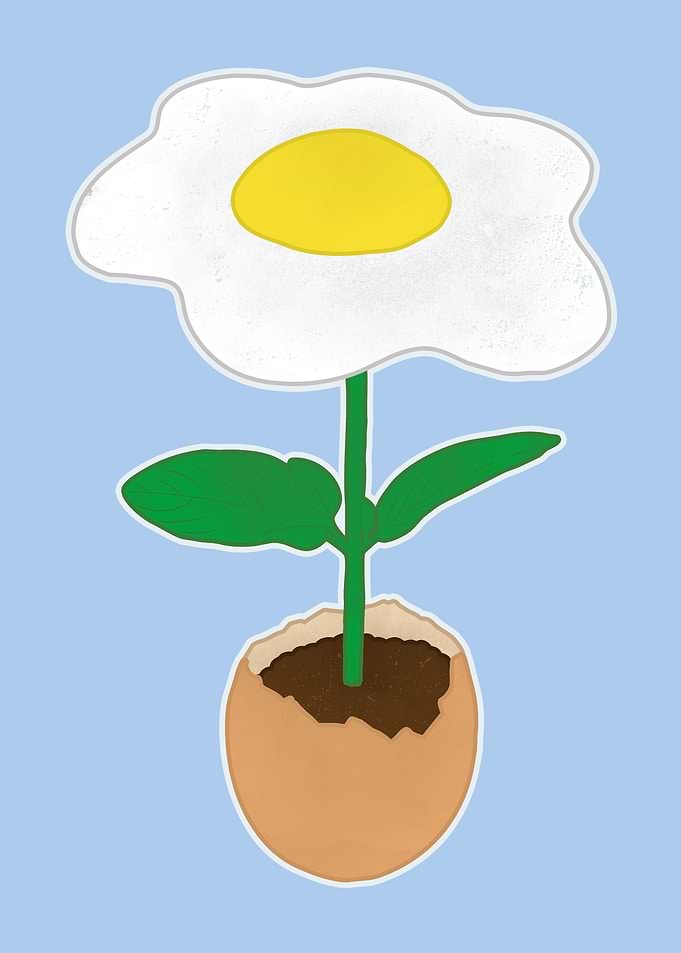 Egg Plant