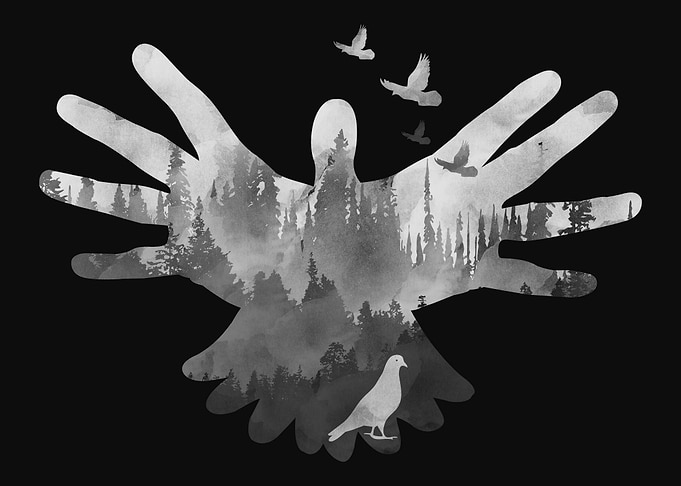 Dove