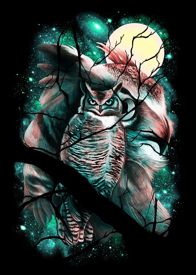 Space Watcher