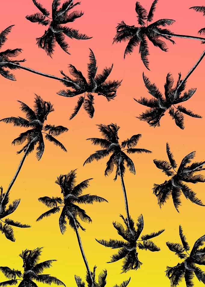 Palms