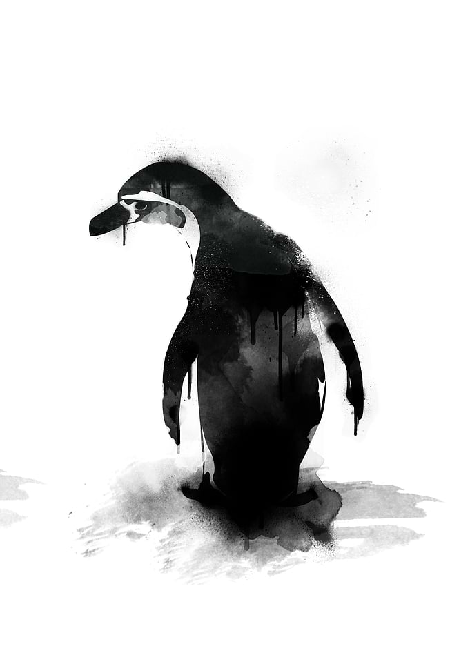 little pingu