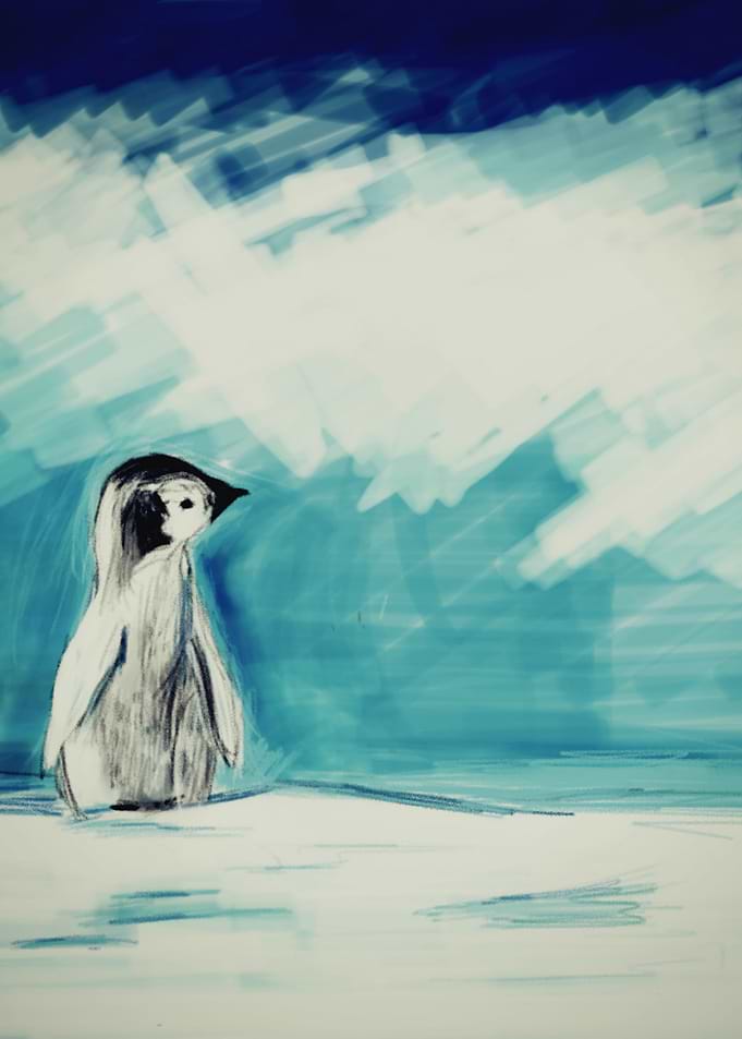 Baby Penguin