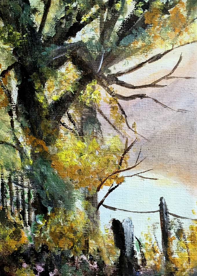 Fall Trees