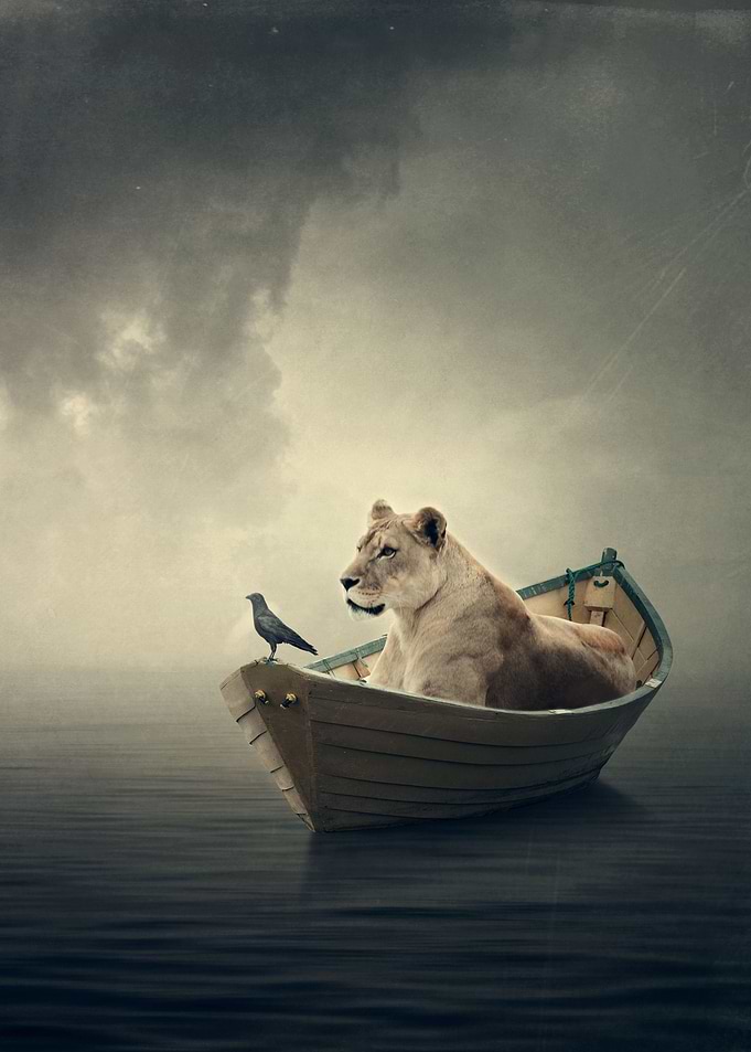 Siren song