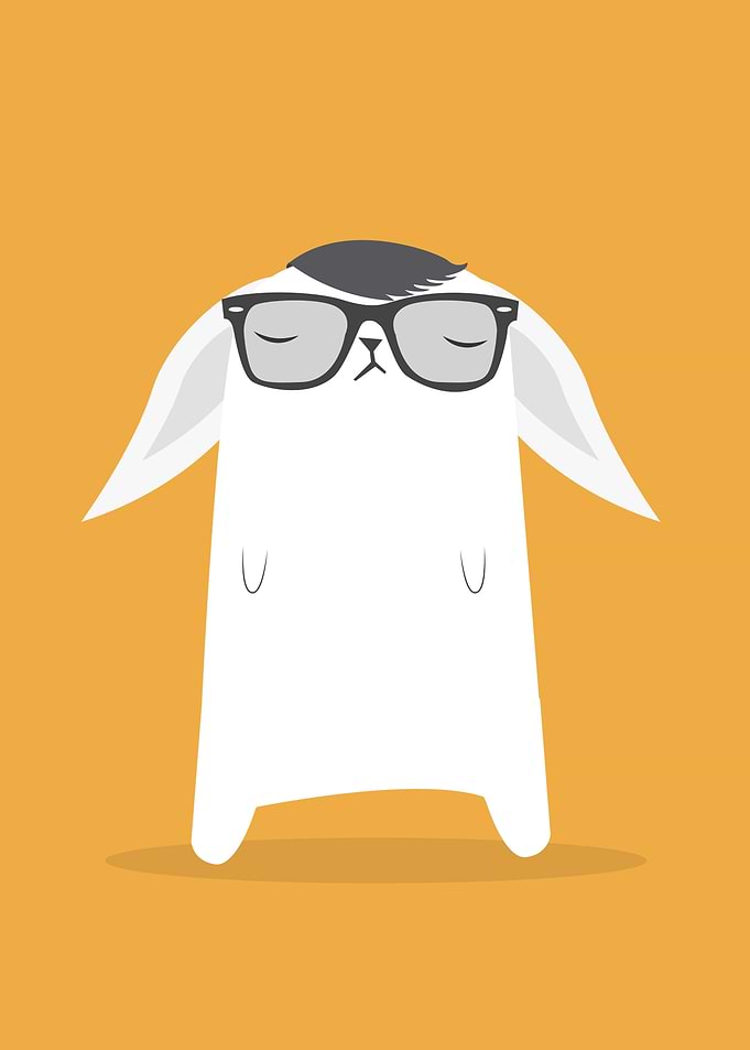 Hipster Bunny