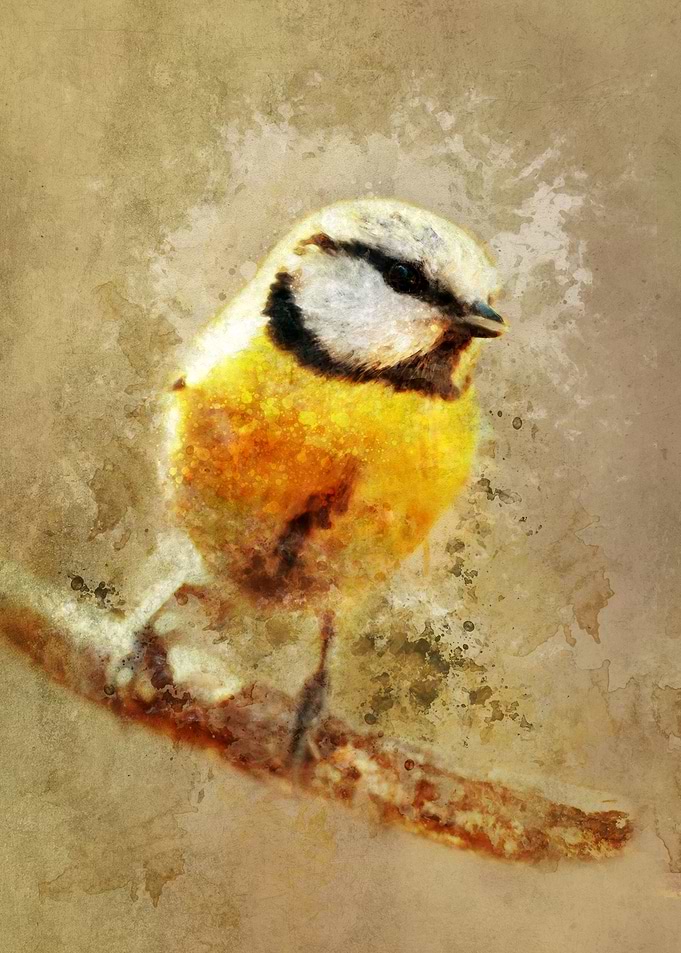 Yellow tit on the branch - digital art