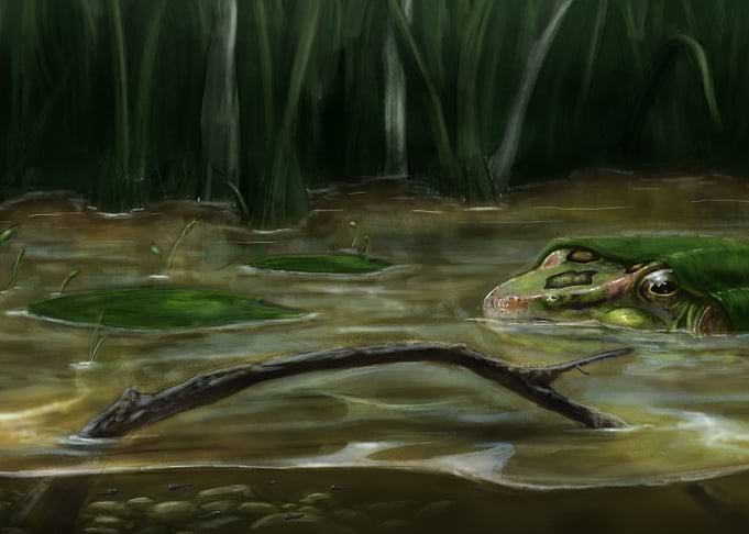 Louisiana Cultural Art