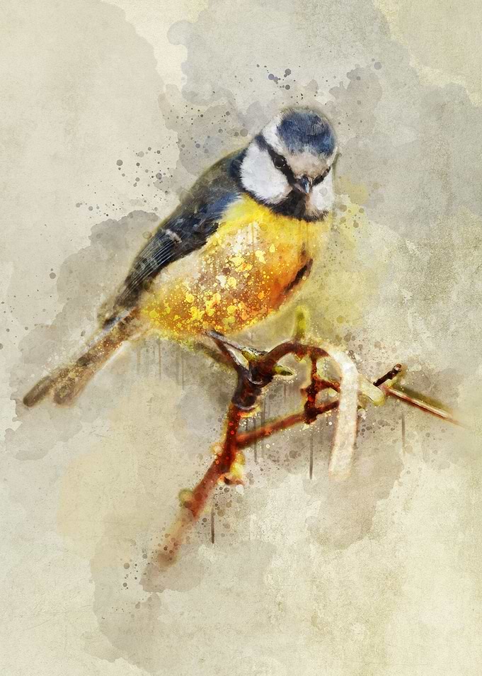 Small tit on the branch - digital artwork