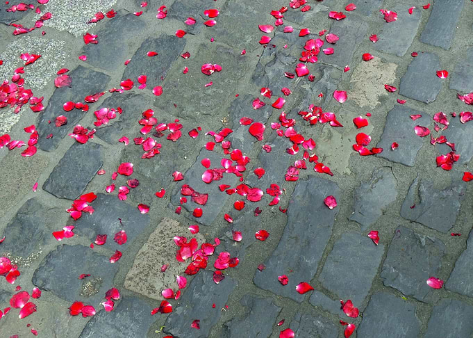 Petals