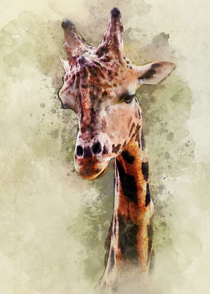 Giraffe - digital artwork