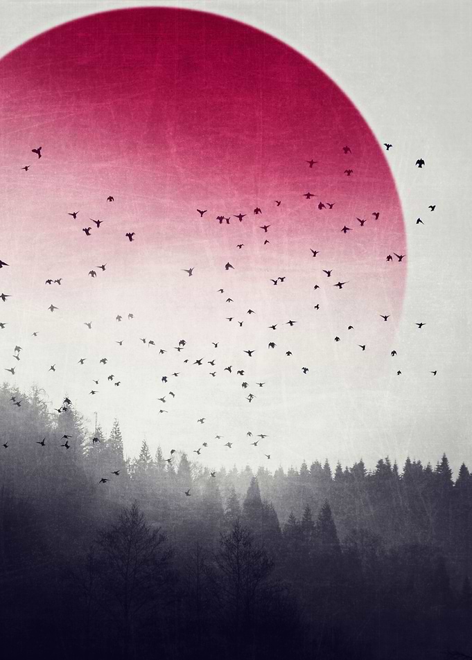 Rising - Surreal Woodlands
