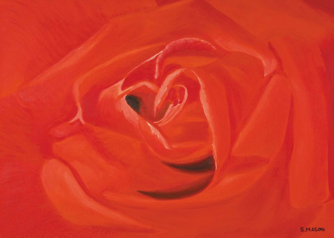 A rose for you.A beautiful red rose.