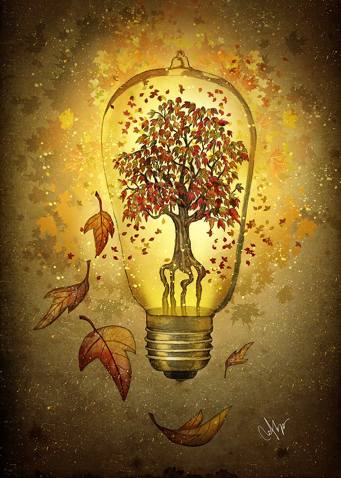 autumn light
