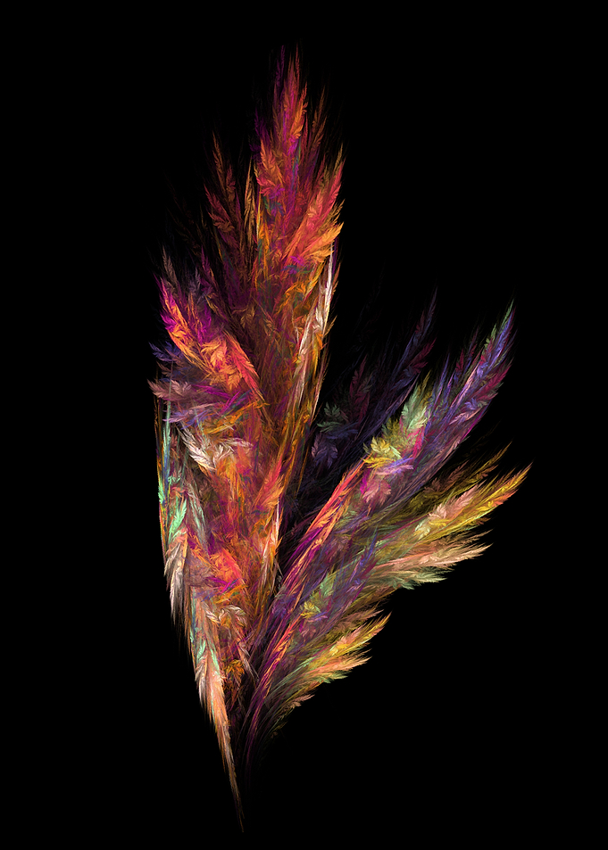 Flora