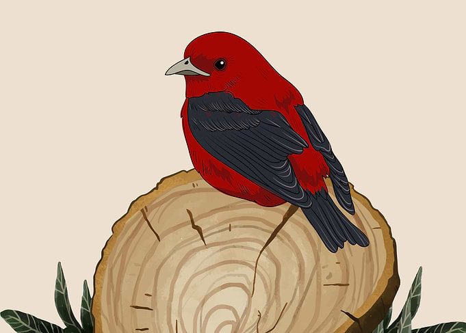 Bird on a Log