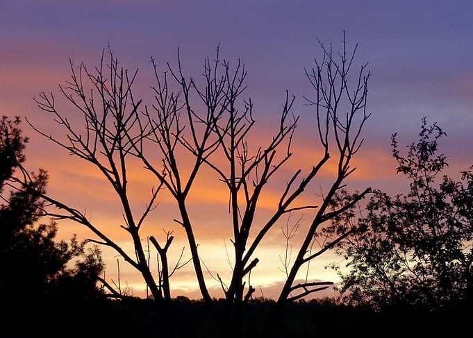 Evening arrives