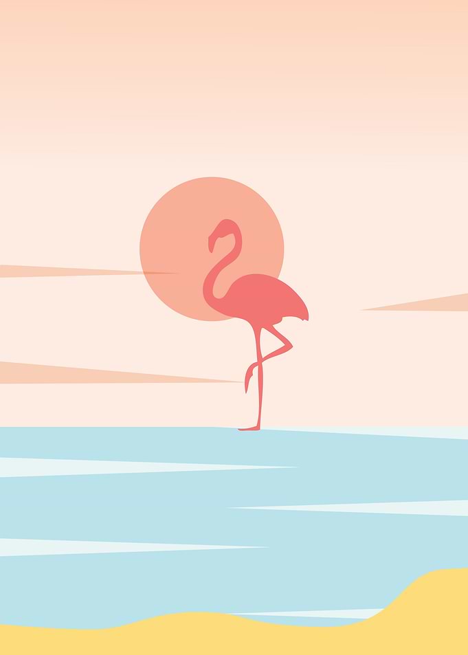 Flamingo