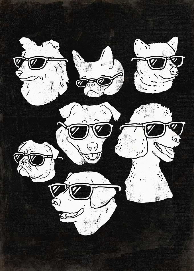 PuppersDog Dogs Puppy Puppies Animals Black / White / ...