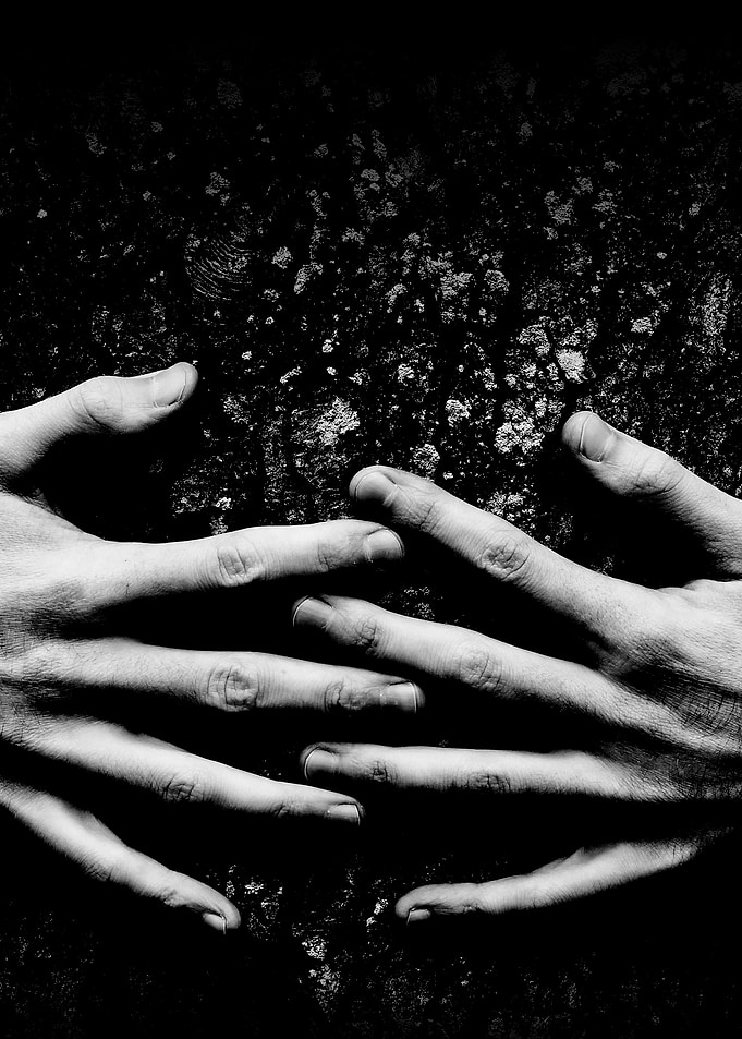 Treehugger —