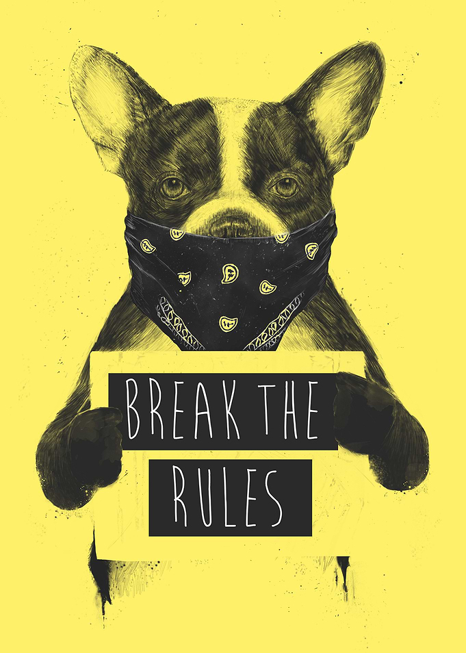 Rebel dog (yellow)