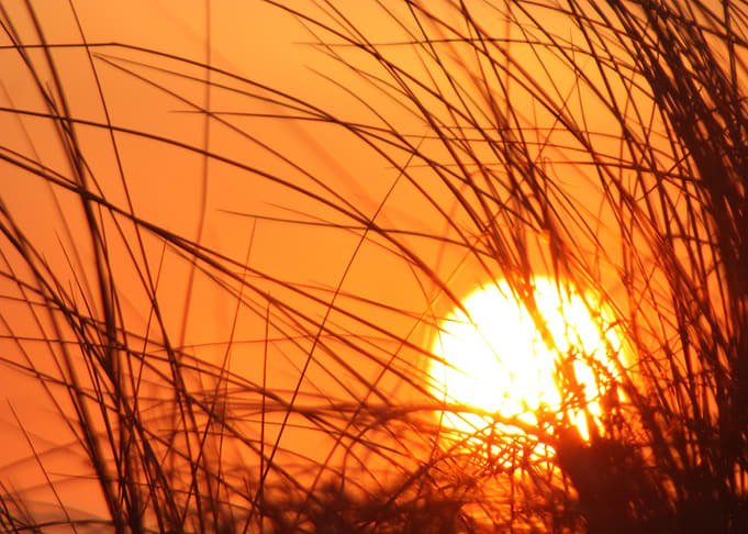 Sunset looking through the
