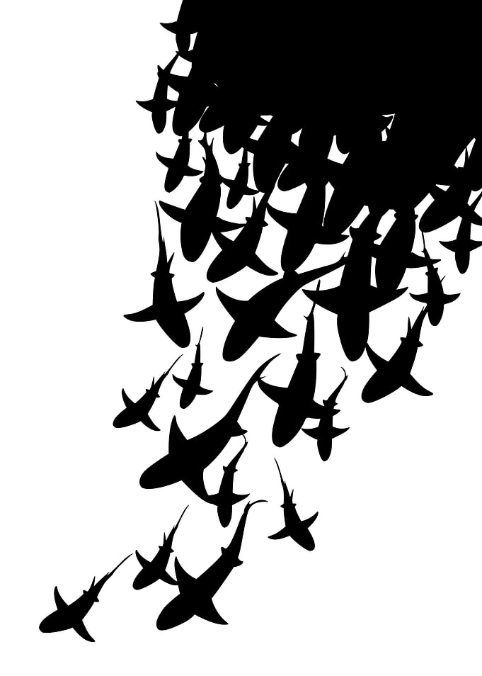 Sharks