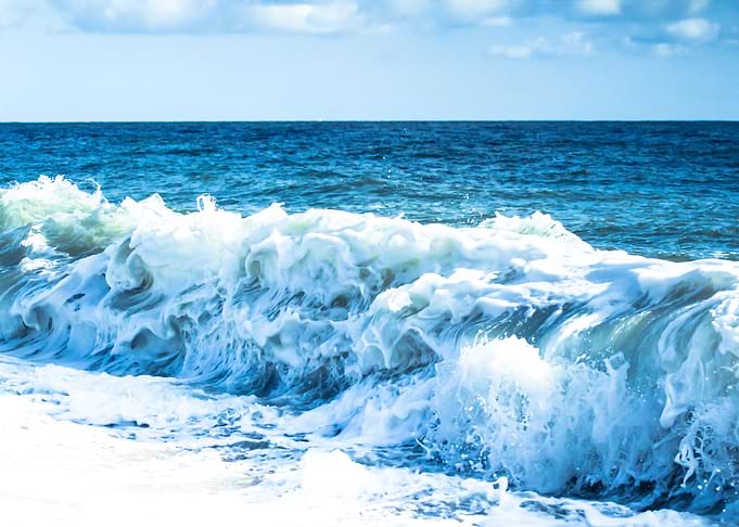 Ocean of Gratitude —