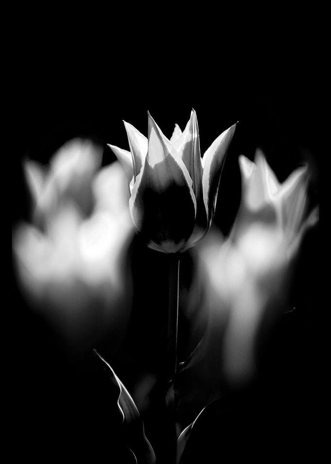 Hope —