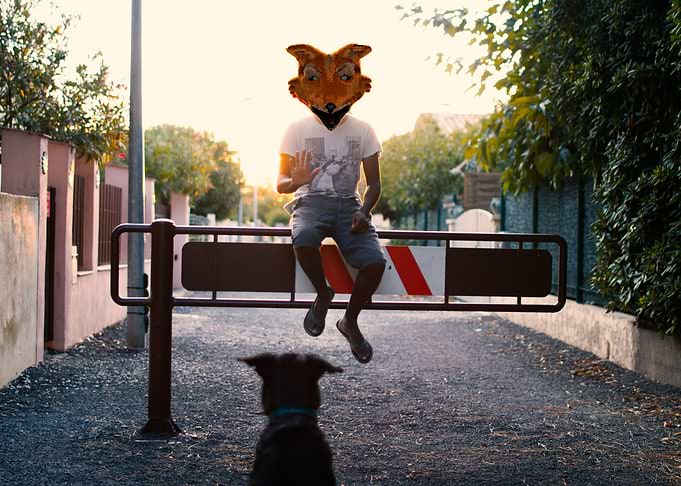 Mr fox and his dog