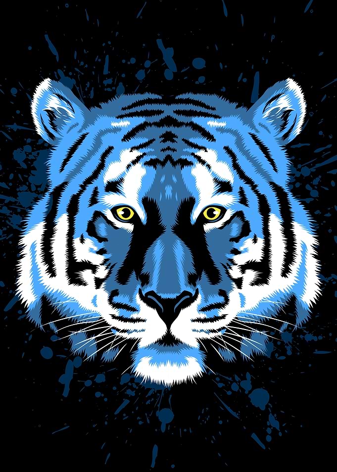 Tiger blue