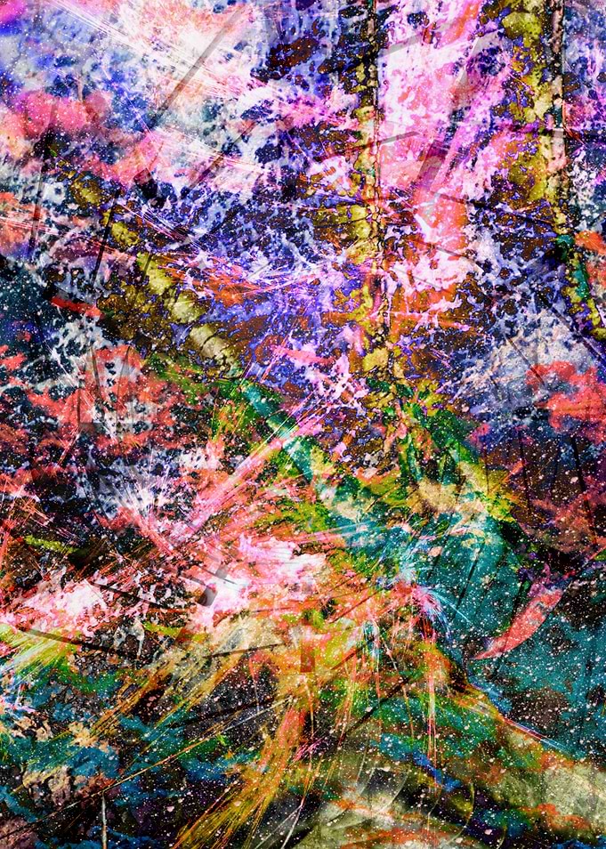 'Abigail' {A series of abstract expression designs. T ...