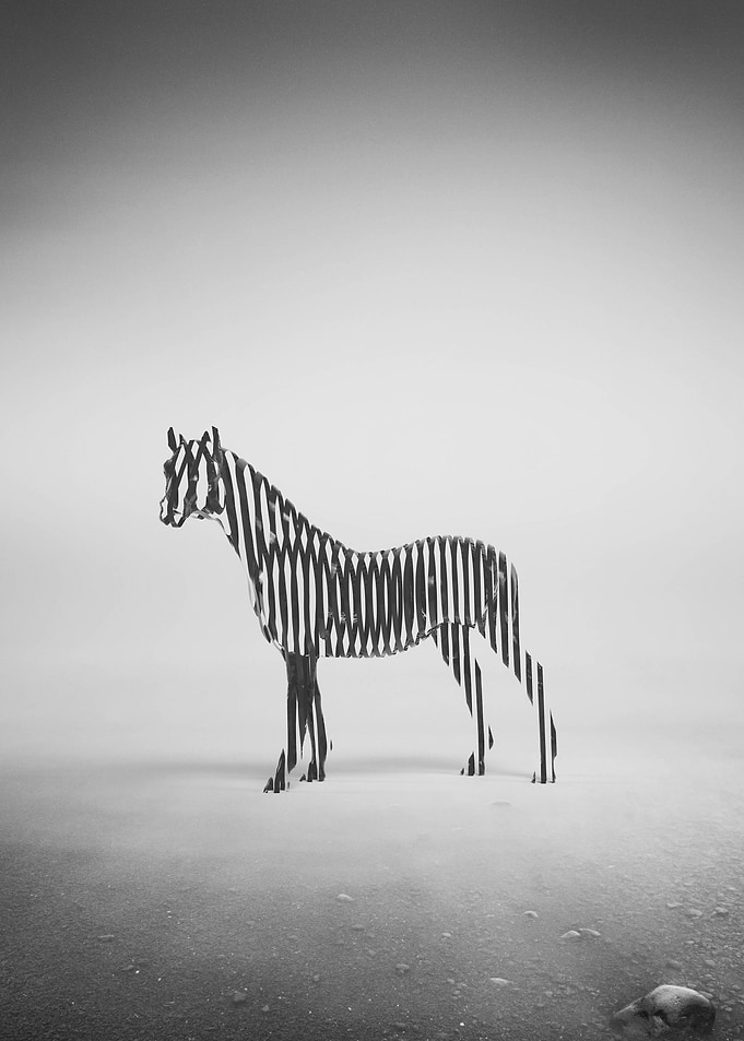 Zebra Mist