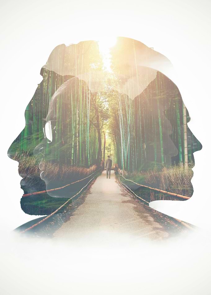 Reincarnation