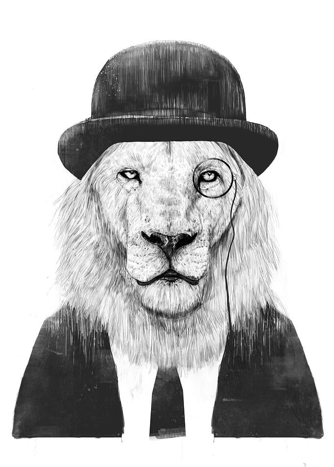 Sir Lion