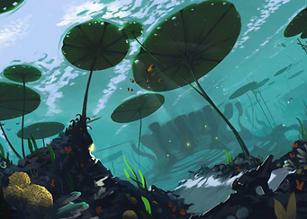 A view of the underwater s
